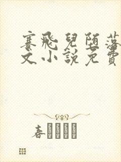 赛飞儿堕落同人文小说免费阅读