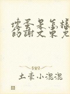 坏蛋是怎样炼成的谢文东免费阅读原文