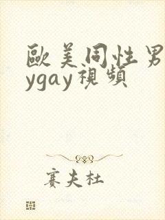 欧美同性男boygay视频