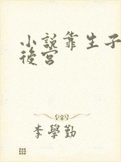 小说靠生子称霸后宫