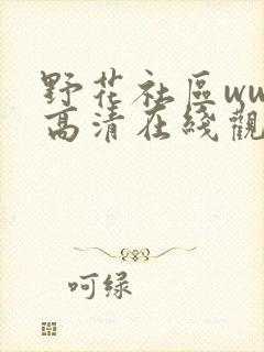 野花社区www高清在线观看