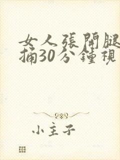 女人张开腿男人捅30分钟视频
