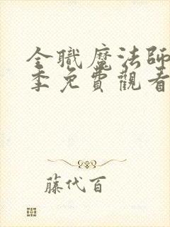 全职魔法师第七季免费观看完整版动漫