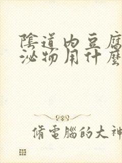 阴道内豆腐渣分泌物用什么药