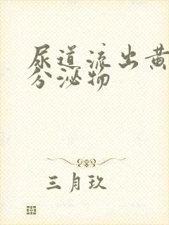 尿道流出黄脓状分泌物