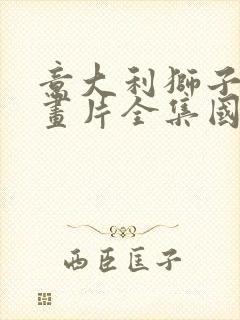 意大利狮子王动画片全集国语