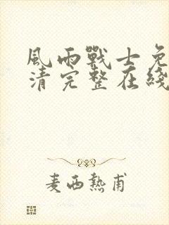 风雨战士免费高清完整在线观看封面