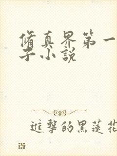 修真界第一病秧子小说封面