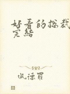 好看的总裁小说完结封面