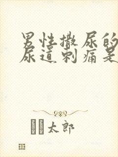 男性撒尿的时候尿道刺痛是什么原因