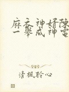 麻衣神婿陈黄皮一举成神电子书