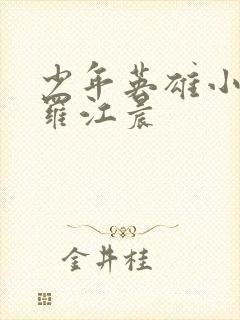 少年英雄小哪吒罗江晨封面