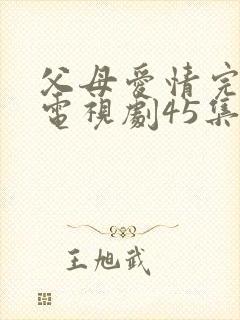 父母爱情完整版电视剧45集