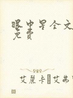 眼中星全文阅读免费封面