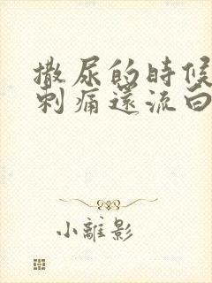 撒尿的时候尿道刺痛还流白色液体