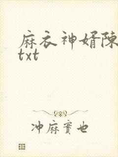 麻衣神婿陈黄皮txt