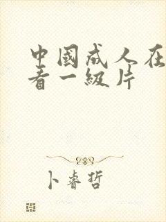 中国成人在线观看一级片