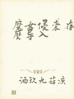 魔女侵袭存档怎么导入