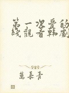 第一次爱的人在线观看韩剧免费高清