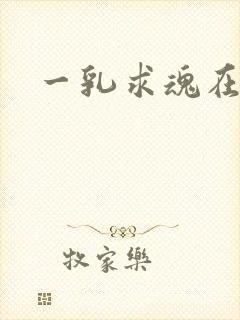 一乳求魂在线封面