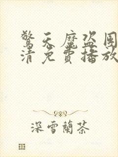 惊天魔盗团3高清免费播放封面