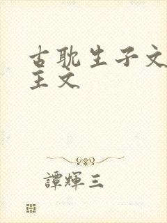 古耽生子文双男主文