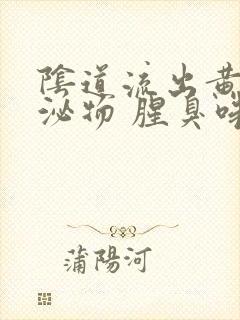 阴道流出黄的分泌物 腥臭味