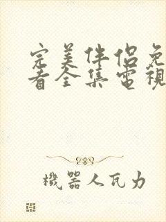 完美伴侣免费观看全集电视剧