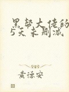 黑帮大佬的365天未删减