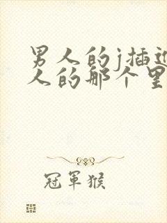 男人的j插进女人的那个里无遮挡