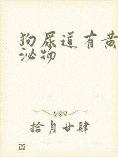 狗尿道有黄色分泌物