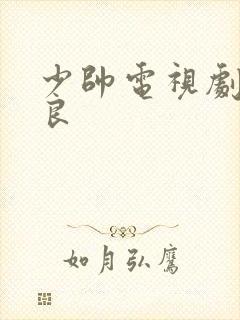 少帅电视剧张学良