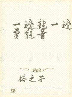 一边亲一边摸免费观看