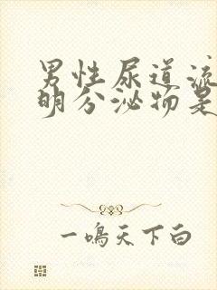 男性尿道流出透明分泌物是什么