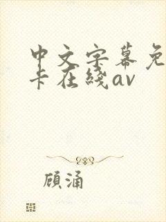 中文字幕免费不卡在线av
