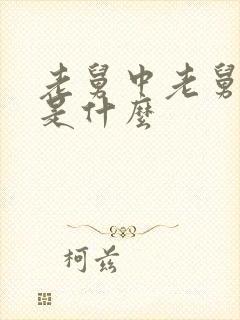 老舅中老舅结局是什么