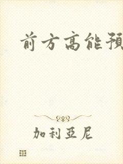 前方高能预警封面