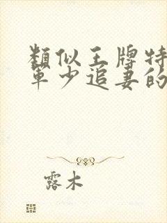 类似王牌特战之军少追妻的小说