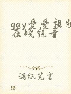 gay爱爱视频在线观看