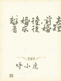 离婚后,前夫哭着求复婚短剧免费观看