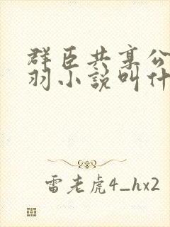 群臣共享公主银羽小说叫什么封面