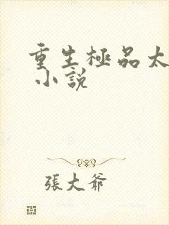 重生极品太子爷 小说