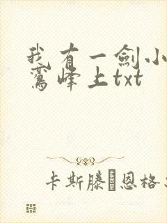 我有一剑小说青鸾峰上txt