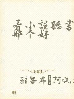 看小说听书软件哪个好封面