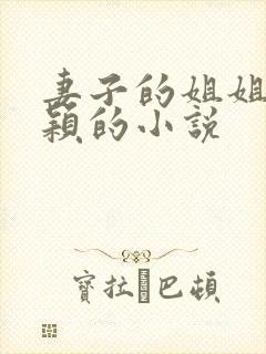 妻子的姐姐白心颖的小说封面