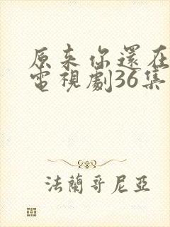原来你还在这里电视剧36集免费