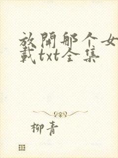 放开那个女巫下载txt全集封面