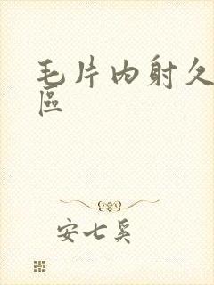 毛片内射久久三区