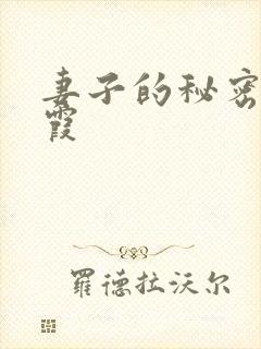 妻子的秘密韩晴霞