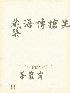 藏海传抢先看全集